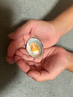 冷え性対策