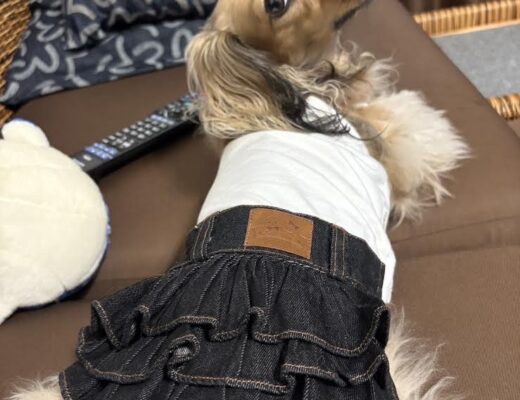 遅れて熱中症がやってくる！？