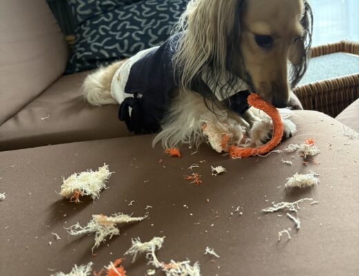 暴飲暴食を防いで健康な年越しを