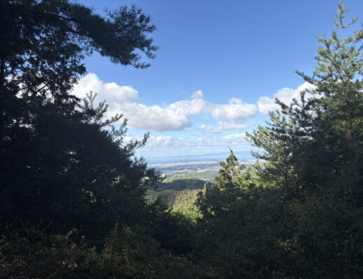 高齢者の服薬管理について🌟