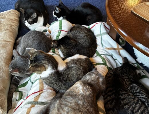 ４月に多い『なんとなく不調』の正体！