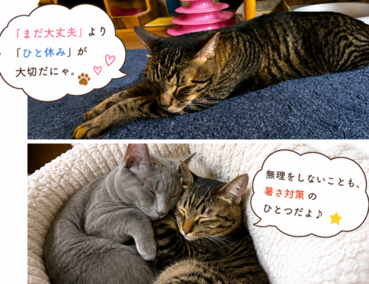 8月の服装選びで　暑い夏を快適に過ごしましょう！
