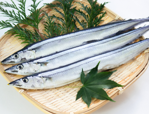 秋の体調管理は食卓から！旬の食材パワー！